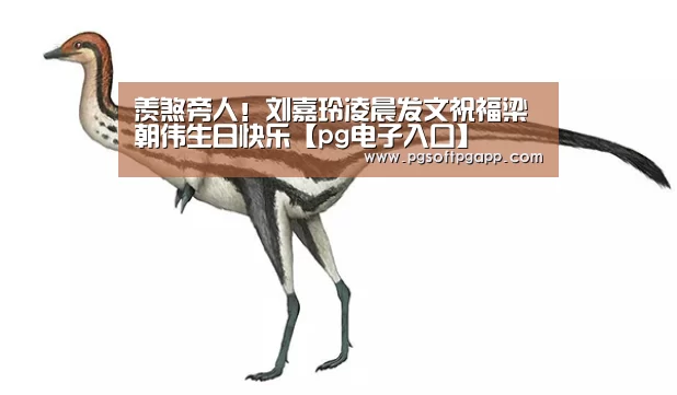羡煞旁人!刘嘉玲凌晨发文祝福梁朝伟生日快乐【pg电子入口】(图2) pg电子入口官网