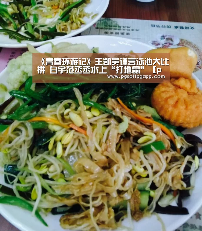 《青春环游记》王凯吴谨言泳池大比拼 白宇范丞丞水上“打地鼠”【pg电子入口】(图1) pg电子入口